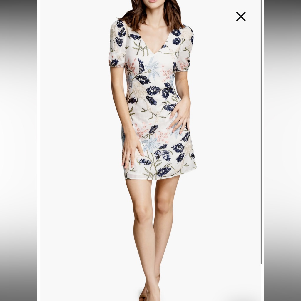 Dress The Population | Ezra Embroidered Cotton | Mini Dress Dress